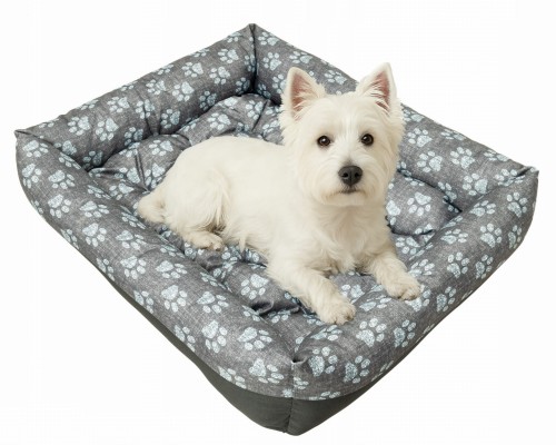 75x65 niebieska łapka startowe.jpg