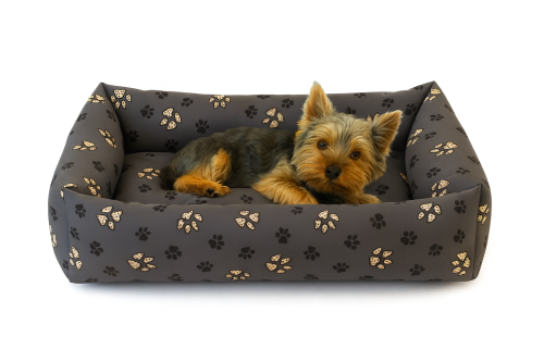 65x55 łapka duża startowe.png