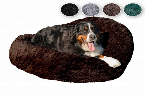 pies 2 120 brąz.jpg