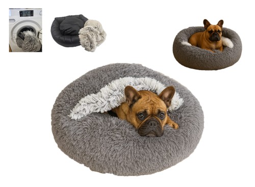 Shaggy 65 norka startowe .jpg