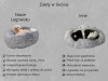 Infografika do legowisk wyciagana poduszka.jpg