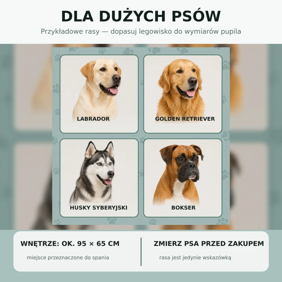 10-przykladowe-rasy.jpg