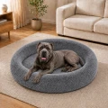 02-zdjecie-aranzacyjne-szary-cane-corso.jpg