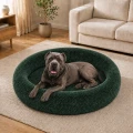 02-zdjecie-aranzacyjne-zielony-64-cane-corso.jpg