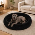 02-zdjecie-aranzacyjne-czarny-08-cane-corso.jpg