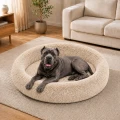 02-zdjecie-aranzacyjne-bezowy-27-24-cane-corso.jpg