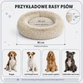 10-przykladowe-rasy-psow.png