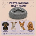 infografika przykładowe rasy.jpg