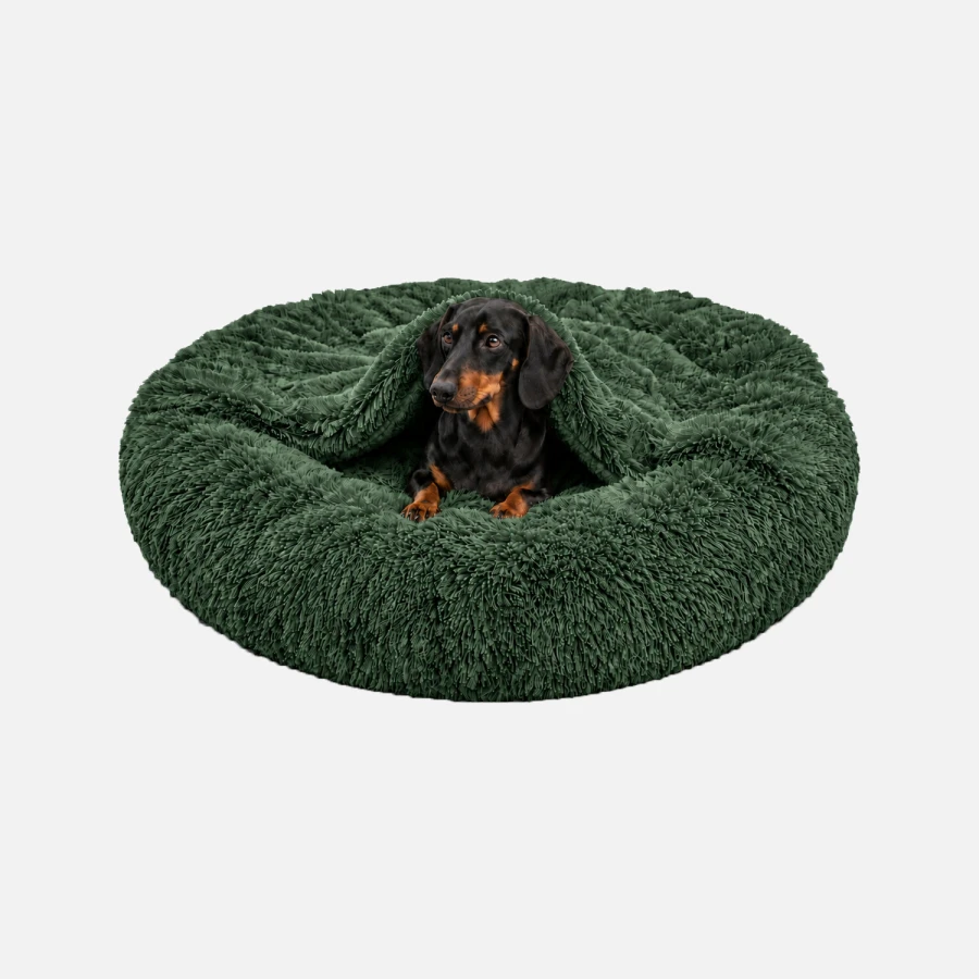 shaggy 80 sklep strart zielone.jpg