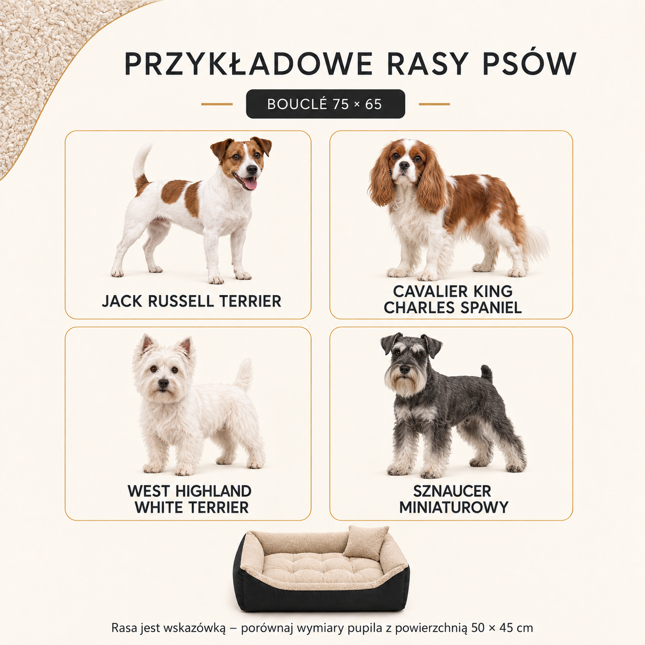 Jack Russell Terrier, Cavalier King Charles Spaniel, West Highland White Terrier i Sznaucer Miniaturowy - przykładowe rasy do legowiska Boucle 75x65