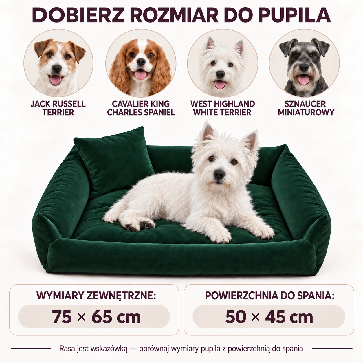 Jack Russell Terrier, Cavalier King Charles Spaniel, West Highland White Terrier i Sznaucer Miniaturowy - przykładowe rasy do legowiska Velvet 75x65